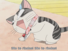 Chi's Sweet Home OVA